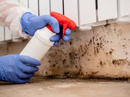 Best Mold Documentation for Insurance Claims  in Pamplico, SC